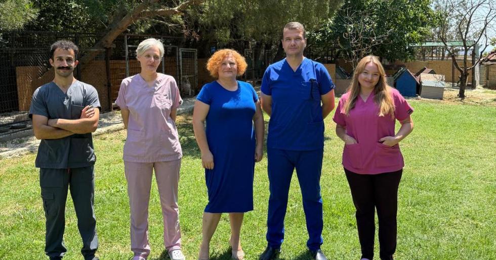 Türkiye’de Bir İlk: Felçli ve Hasta Hayvanlar İçin Umut Oldular