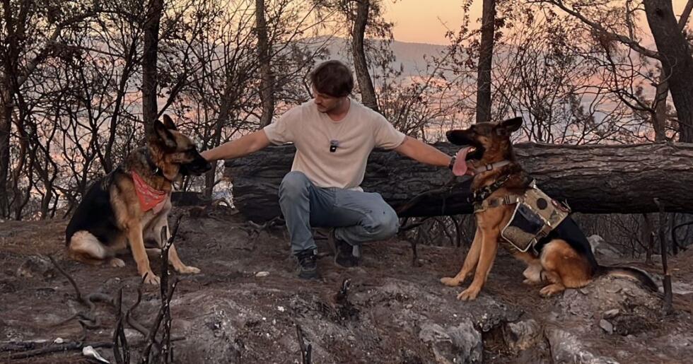 Kahraman Köpekler ve Tohumlar, İzmir Bozköy’de Yanan Ormana Yeniden Hayat Veriyor