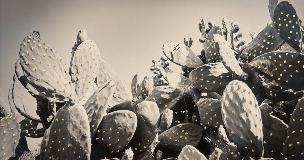 Lara Sayılgan “Park ” ve “Unborn Lotus”  İsimliEserleriyle Asia Now Paris’te.