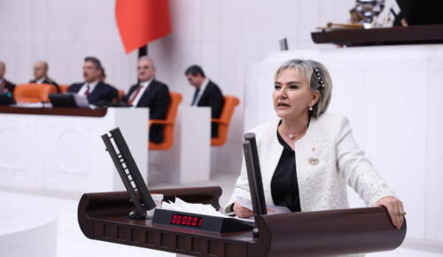 Özdemir’den Trafik Cezaları Görüşülürken Vicdan Vurgusu: “Sorun Bütçede Değil, Vicdanda”